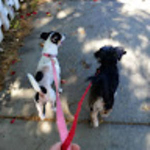 Meet your Posher, Esther